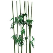 Bamboo Trees Plant