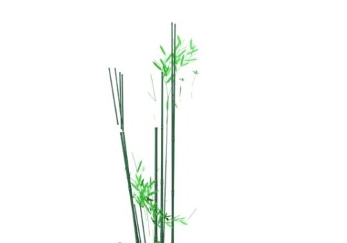 Green Bamboo Plants