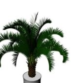 Indoor Potted Palm Plant V1