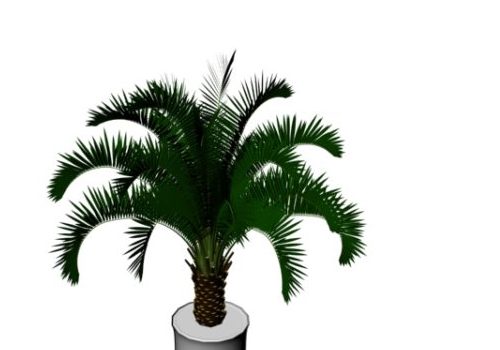 Indoor Potted Palm Plant V1