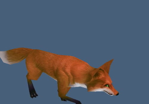 Forest Red Fox Animal