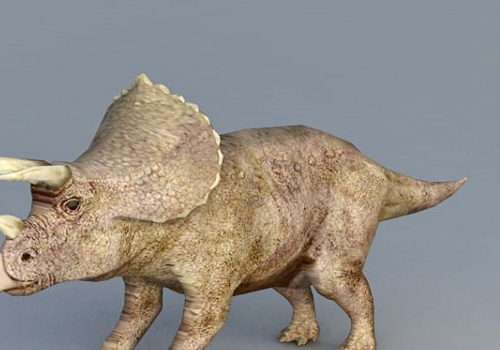 Triceratops Dinosaur | Animals