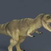 Tyrannosaurus Rex Dinosaur | Animals