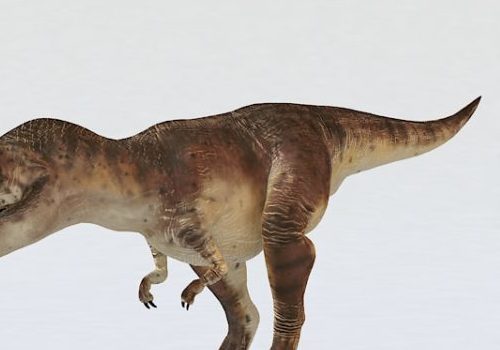 Tyrannosaurus Rex Dinosaur | Animals V2