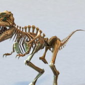Skeletal Dinosaur | Animals
