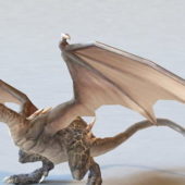 Wyvern Dragon | Animals V1