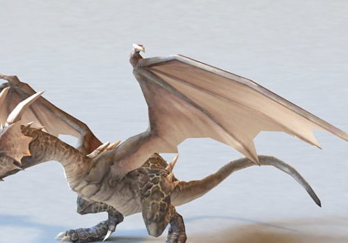 Wyvern Dragon | Animals V1