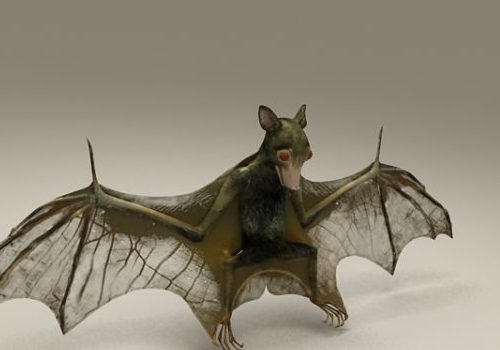 Cartoon Dark Bat Animal | Animals