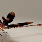 Realistic Dragonfly Insect | Animals