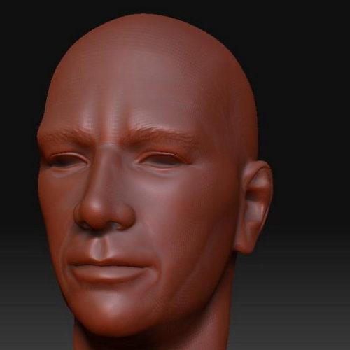 Human Male Head Sculpture Characters