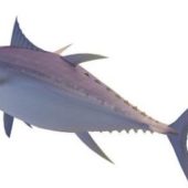 Yellowfin Sea Fish Animals