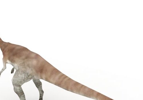 Gallimimus Dinosaur Prehistoric Animal Animals