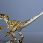 Velociraptor Dinosaur Prehistoric Animal Animals