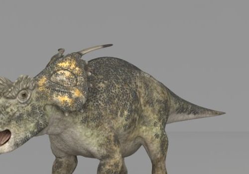 Ancient Achelousaurus Dinosaur
