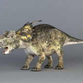 Achelousaurus Dinosaur Animal