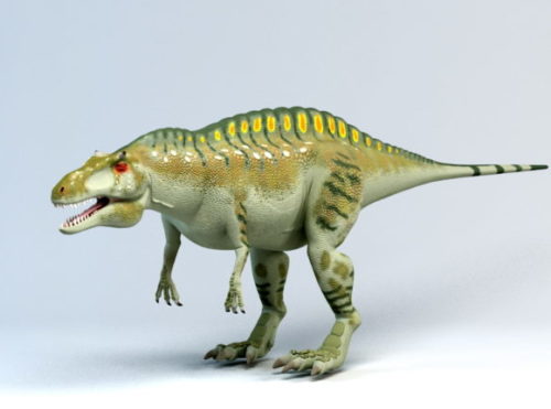 Acrocanthosaurus Dinosaur Animal