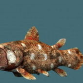 Actinistia Sea Fish