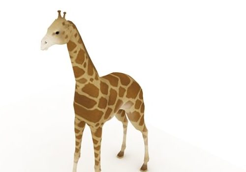 Adult Giraffe Animal Animals