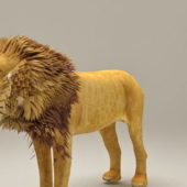 African Lion Realistic | Animals