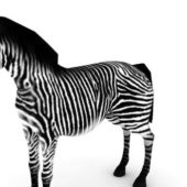 African Zebra Lowpoly Animals
