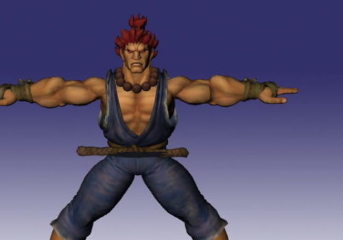 Akuma Street Fighter Character | Characters