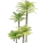 Alexandra Green Palm Trees