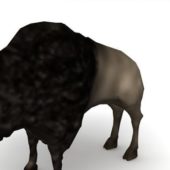 Bison Cow Animal Animals