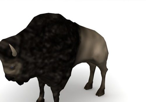 Bison Cow Animal Animals
