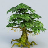 Nature Ancient Tree
