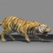 Wild Animal Bengal Tiger