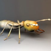 Animated Ant Rigged Animal