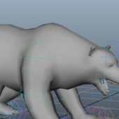 Animated Bear Animal Rigged