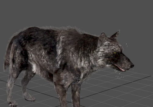 Animated Black Wolf Animal