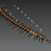 Centipede Animal Rigged Animated