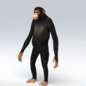 Chimpanzee Animal Rigged Animated