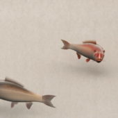 Animated Chinese Fish Painting | Animals