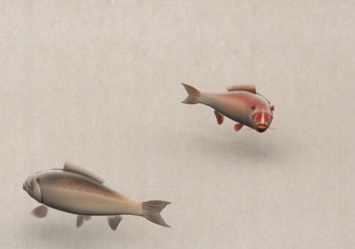 Animated Chinese Fish Painting | Animals