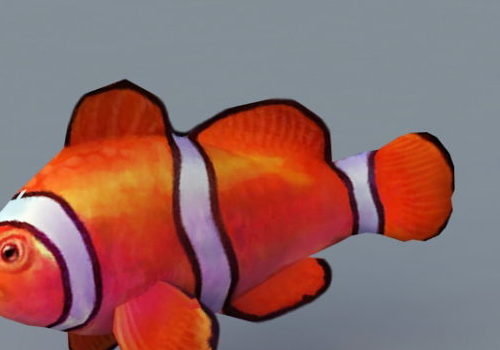 Animated Clownfish Animal