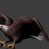 Bird Eagle Flying Animated