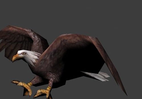 Bird Eagle Flying Animated Free 3D Model - .Max - 123Free3DModels