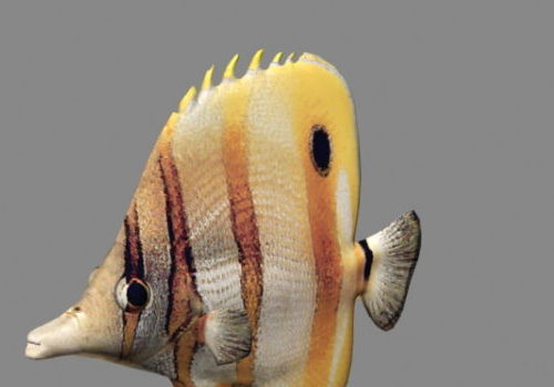 Ocean Fish Animal Animated