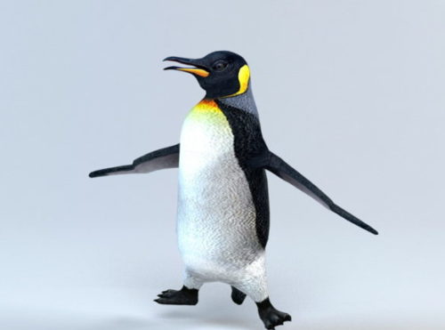 Animated Animal Penguin Rig