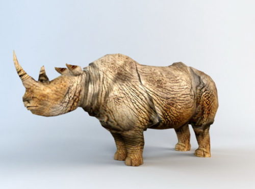 Animated Rhinoceros