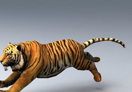 Animated Wild Animal Tiger Rigged 3d Model Fbx Max 123free3dmodels