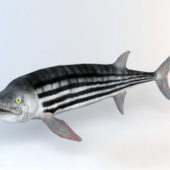 Animal Xiphactinus Fish