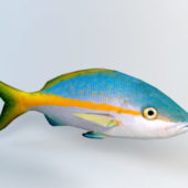 Animal Yellow Snapper Fish
