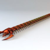 Anime Centipede Animal