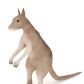 Australian Antilopine Kangaroo Animals