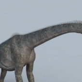 Animal Apatosaurus Dinosaur