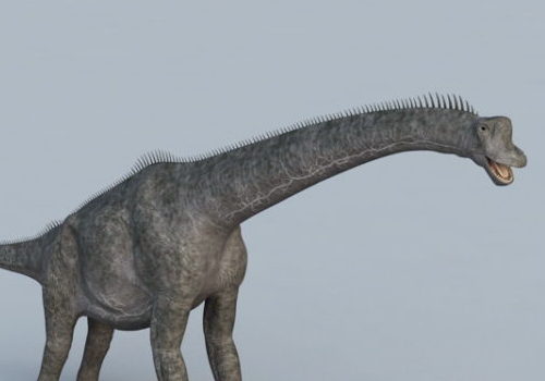 Apatosaurus Dinosaur Animals